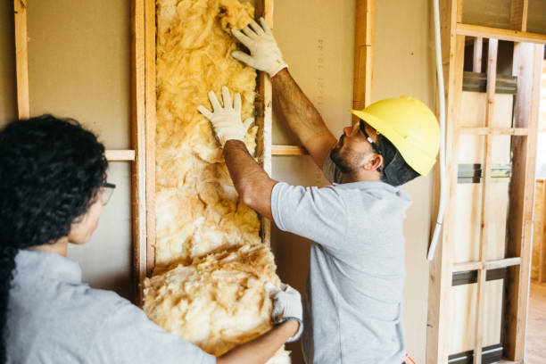 Insulation Replacement Services in Coalville, UT